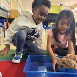 Newport Avenue Preschool & Kindergarten - Sand Sensory Play