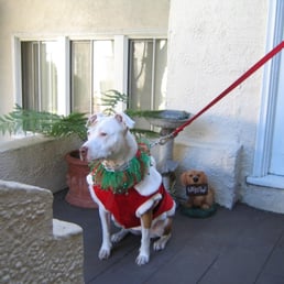 Mellie at Christmas. Mellie LOVES her Aunt Holly. Mellie at Christmas. Mellie LOVES her Aunt Holly.