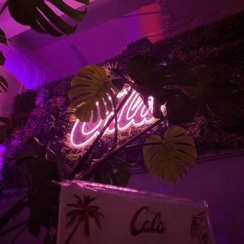 Bar Cala - Plants. Dance lights. - Bars Near Me - Portland, Oregon