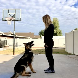 Good Company Canine - One of Kim's first board and train clients, Mia. This dog was incredibly difficult at first, but this team ended up getting a title!