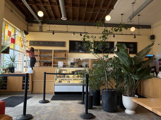 Madison Sourdough by null