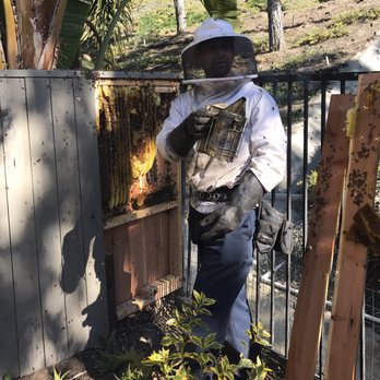 AA-Beekeeper - Smoking the bees - Pest Control Near Me AA-Beekeeper - Smoking the bees - Pest Control Near Me