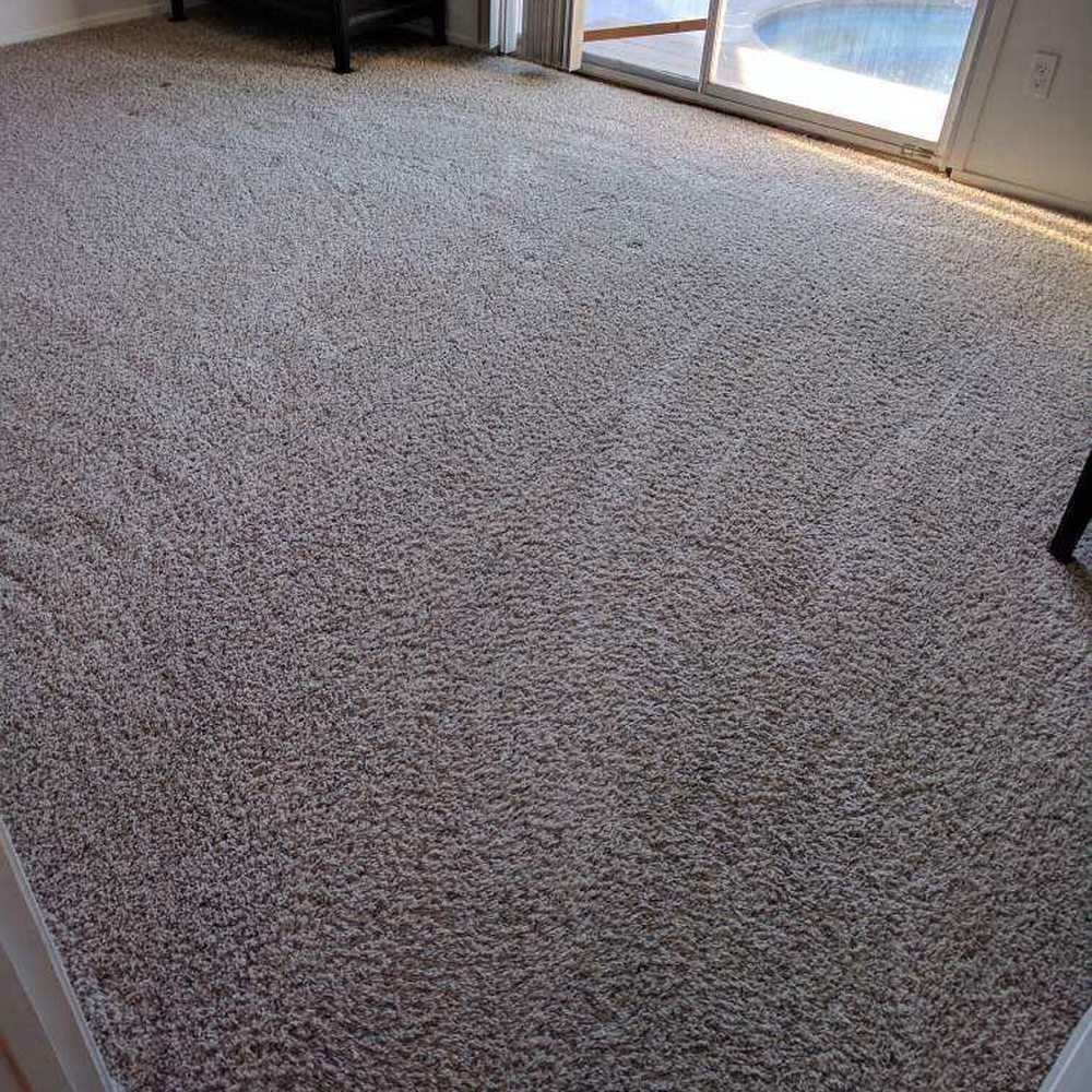 Mean Green Carpet Cleaners - Carpet Cleaning Near Me Mean Green Carpet Cleaners - Carpet Cleaning Near Me