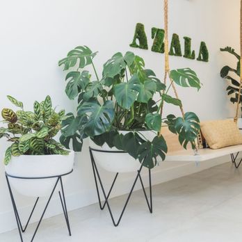 AZALA - Skin Care Near Me - Miami, Florida AZALA - Skin Care Near Me - Miami, Florida