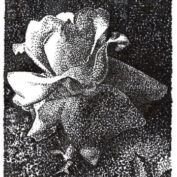 Appojax Design - A Dotty Rose - Commissioned Artists Near Me Appojax Design - A Dotty Rose - Commissioned Artists Near Me