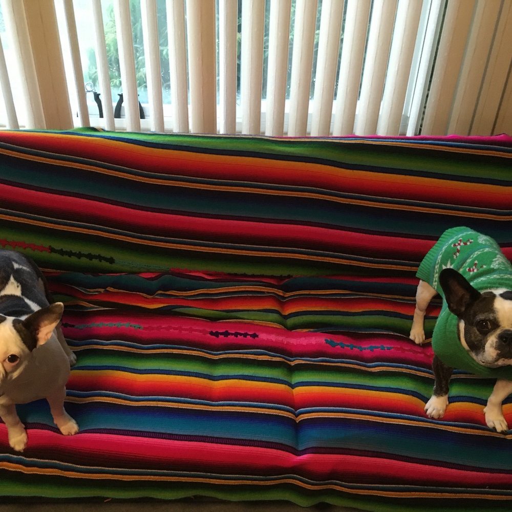 Pups were in good care by Sky!