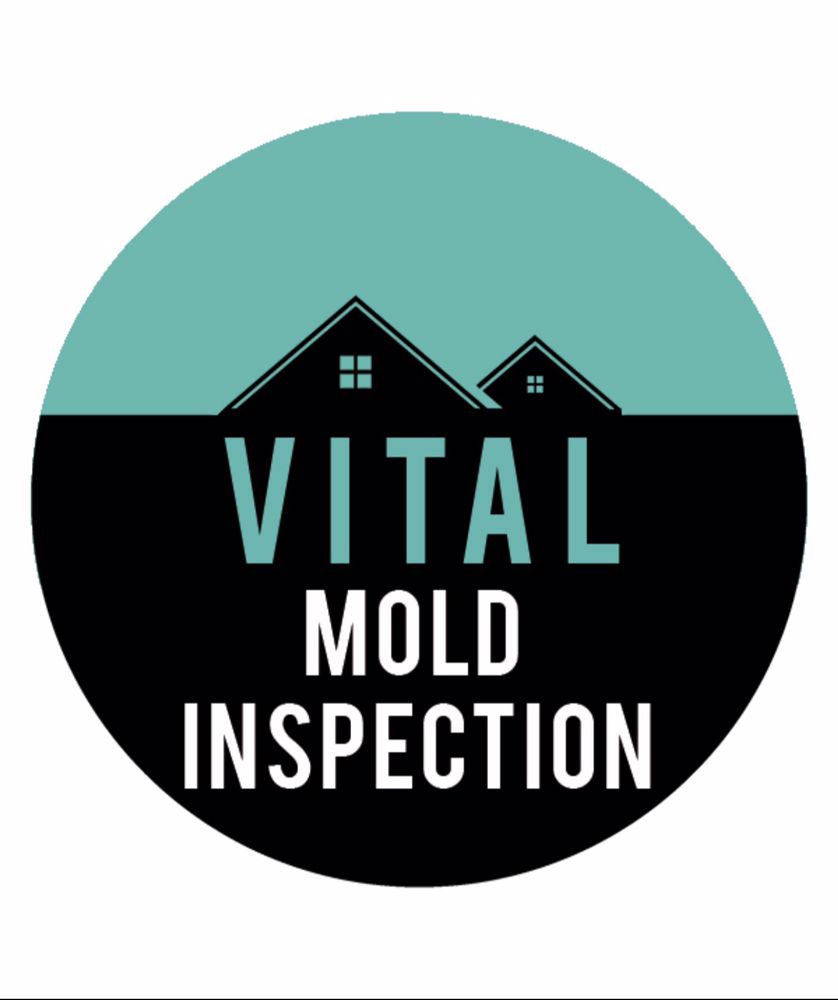 Vital Mold Inspection - mold inspector in La Jolla, CA