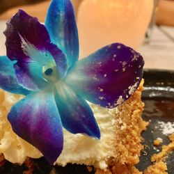 Acqua Ragazza - Amazing cheesecake!!!