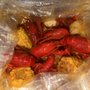Crab Ave