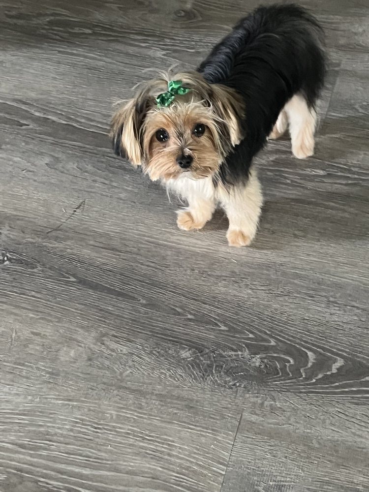 FUR KREWE Updated July 2024 14 Photos 3406 Drusilla Ln, Baton