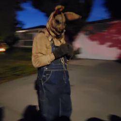 Rebel Yell - Ted Bunny