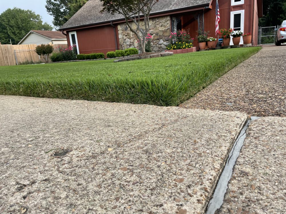 CAMP LAWN CARE, LANDSCAPING, & TREE SERVICES Updated October 2024