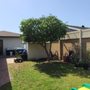 Photo of Stay Green Tree Service