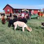 Photo of Our Red Barn Ranch