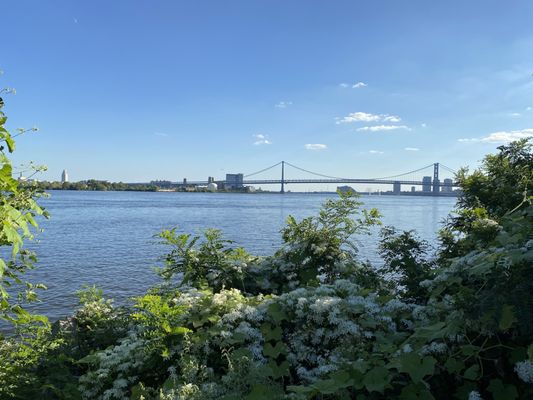 Penn Treaty Park by null