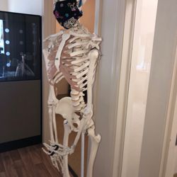 Androscoggin Valley Hospital - AVH mascot!