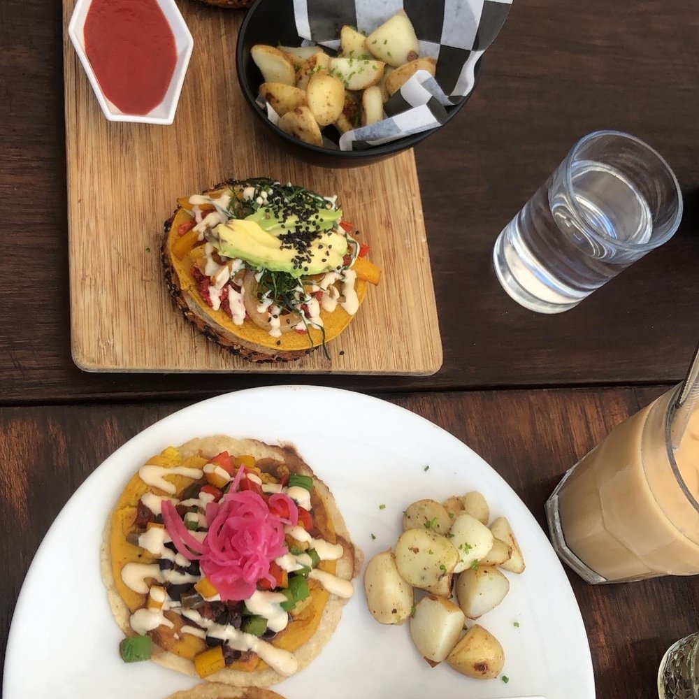 The Pitted Date - Wow! Just wow! - Vegan Near Me - Playa del Carmen, ROO