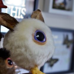Fae's Cabinet - Creatures