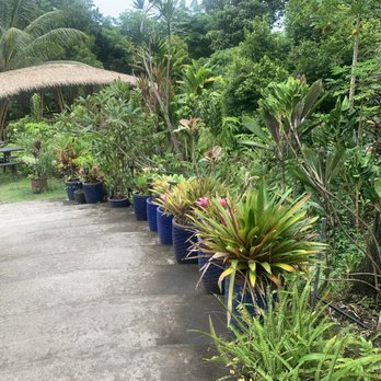 Hana Farms - Attraction Farms Near Me - Hana, Hawaii