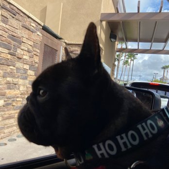 Chick-fil-A - Woof! - Fast Food Near Me - San Marcos, California Chick-fil-A - Woof! - Fast Food Near Me - San Marcos, California