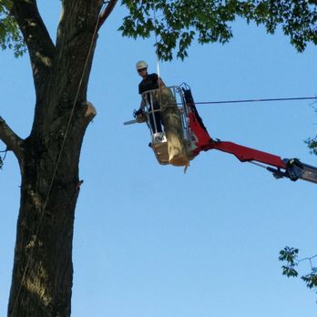Morgan Brothers Tree Service - Tree Services Near Me - Reading, Pennsylvania Morgan Brothers Tree Service - Tree Services Near Me - Reading, Pennsylvania