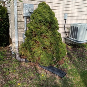 Rusty Red Beard's Anvil - Lawn Services Near Me - Troy, Ohio Rusty Red Beard's Anvil - Lawn Services Near Me - Troy, Ohio