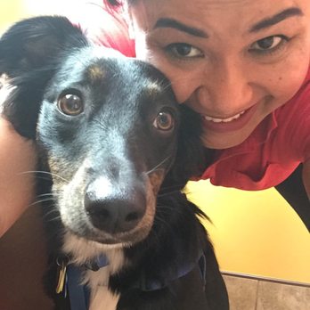 Brandon Lakes Animal Hospital - Ringo boy is here too! - Veterinarians Near Me - Riverview, Florida