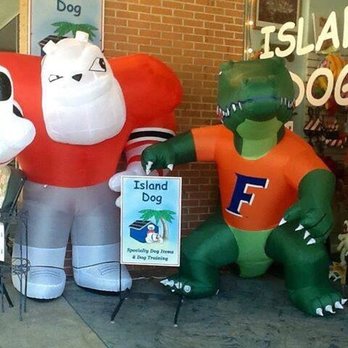 Island Dog - Pet Stores Near Me - Saint Simons Island, Georgia Island Dog - Pet Stores Near Me - Saint Simons Island, Georgia