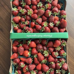 Spooner Berry Farms - Seattle - $35 for a flat (June 2023)