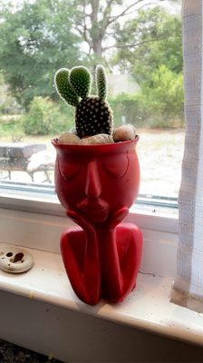 The Plant Outpost by null