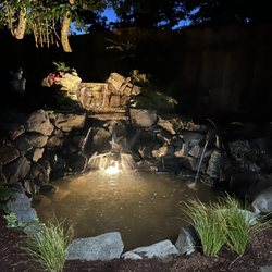 Affordable Ponds - The pond lights give the pond a lovely bit of drama during the night.