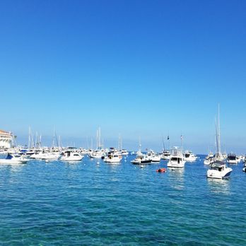 Bluewater Avalon - View from the patio. - Seafood Near Me - Avalon, California
