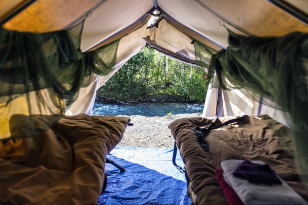 Denali Hostel & Cabins by null