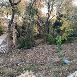 Hunterwood Park - Nature trail behind park