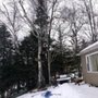 Photo of Lorenzoni & Houle Tree Service