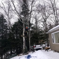 Lorenzoni & Houle Tree Service