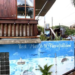 Mar de la Tranquilidad - Sea Life