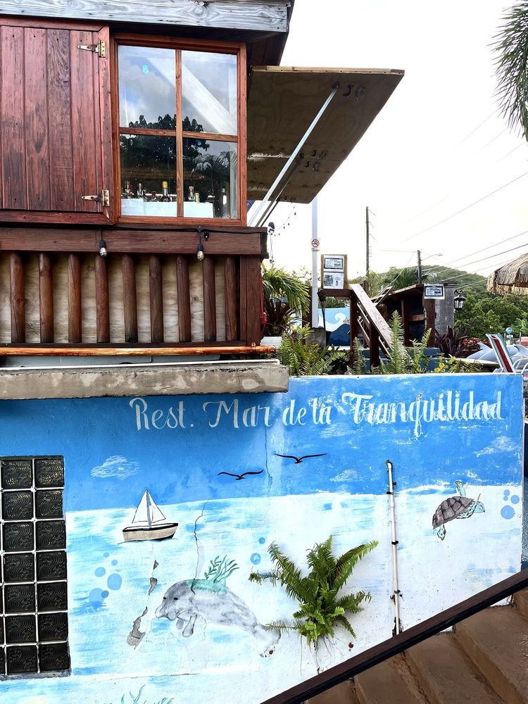 Mar de la Tranquilidad Image