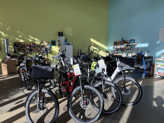 Electric Avenue Bike