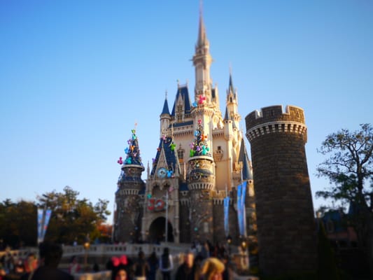 Tokyo Disneyland by null