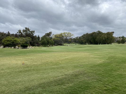 Aviara Golf Club by null