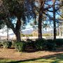 Photo of Aloysia Moore Park