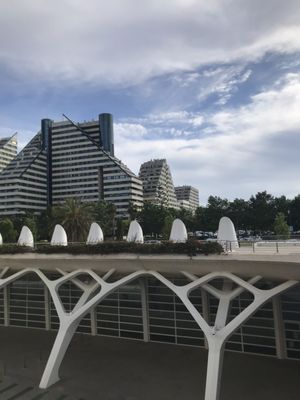 Queen Sofia Palace of Arts by null