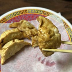 Hyang Mi Dumpling House - Fried Potsticker