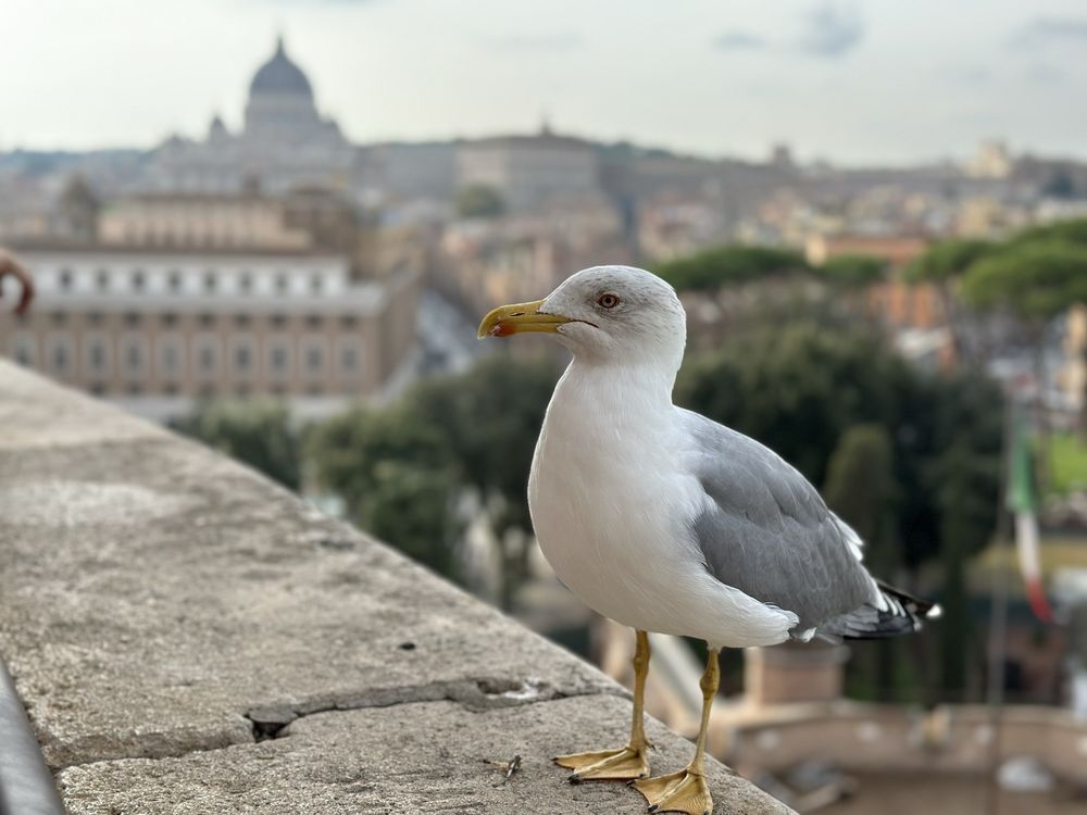 Castel Sant'Angelo