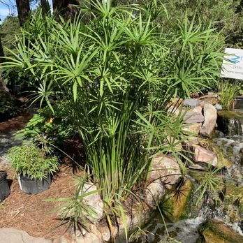 For Garden's Sake - Nurseries & Gardening Near Me - Durham, North Carolina For Garden's Sake - Nurseries & Gardening Near Me - Durham, North Carolina
