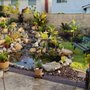 The Pond Pros of Southern California