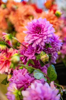 Ferry Plaza Farmers Market by null Ferry Plaza Farmers Market by null