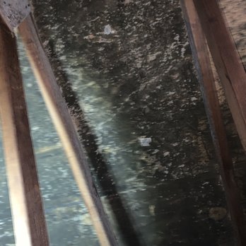 National Mold Removal - the underside of a roof - Damage Restoration Near Me National Mold Removal - the underside of a roof - Damage Restoration Near Me