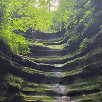 Starved Rock State Park - This is French Canyon - Parks Near Me - Utica, Illinois